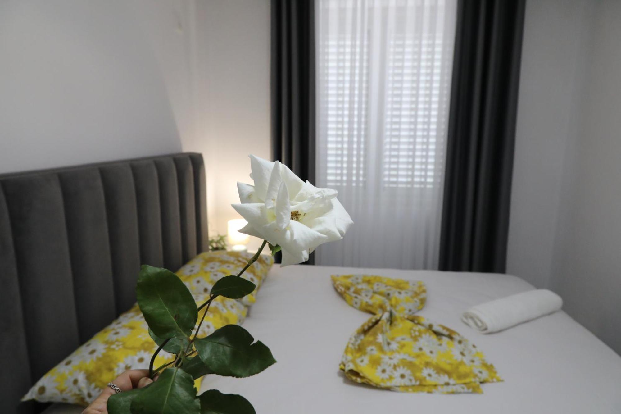 Rozafa Guest Room Center Shkodër エクステリア 写真